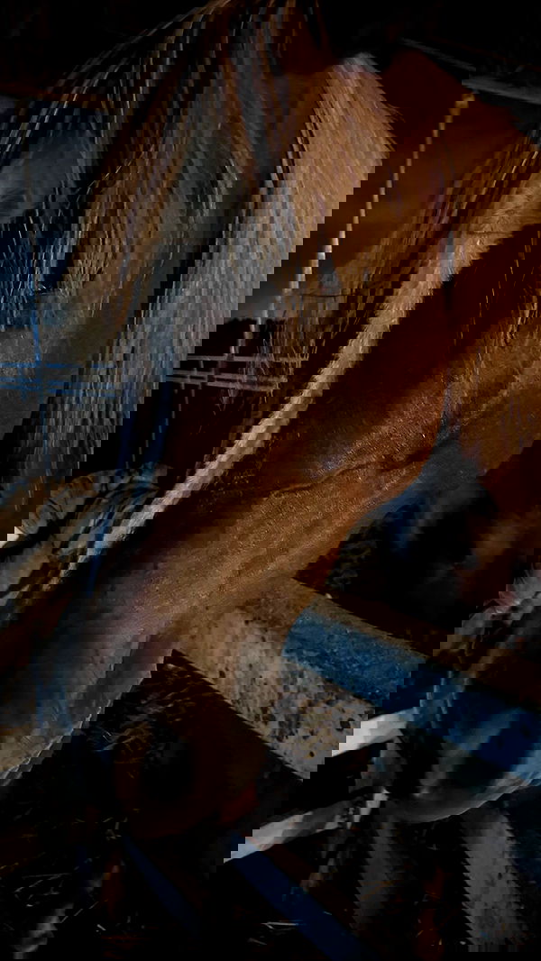 _wizardmidget_ _wizardmidget_ archive image