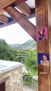 _yarinlevy_ Altpins Profile Picture