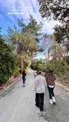 _yarinlevy_ Altpins Profile Picture