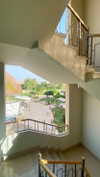 a.shaked_ Altpins Profile Picture