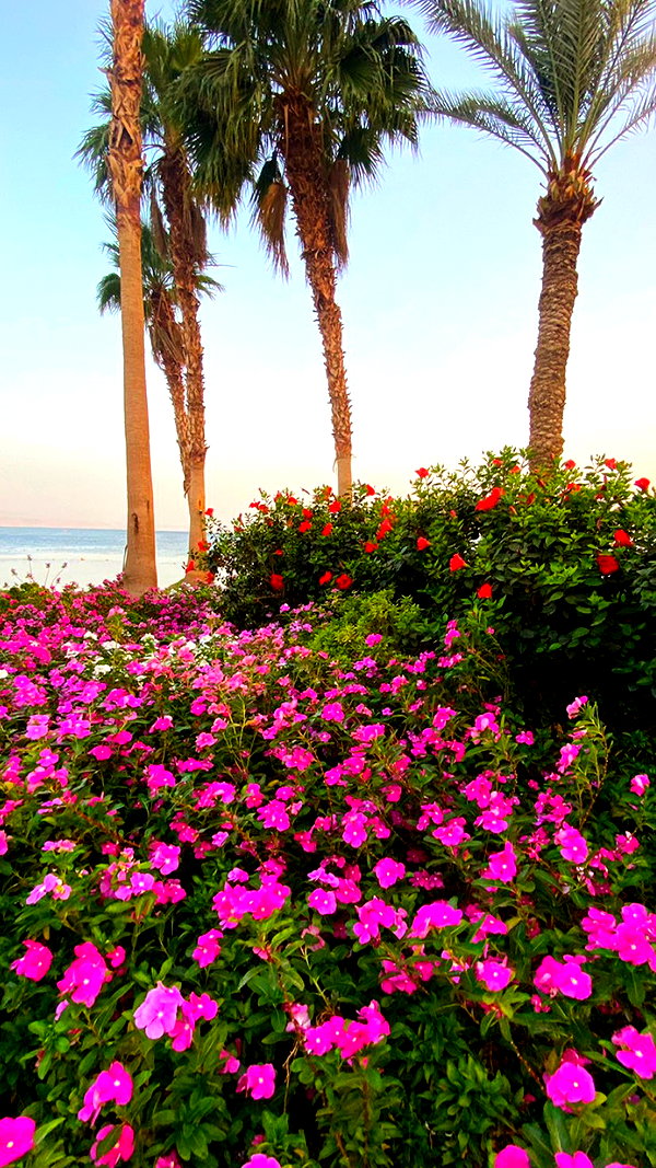 a.shaked_ a.shaked_ archive image