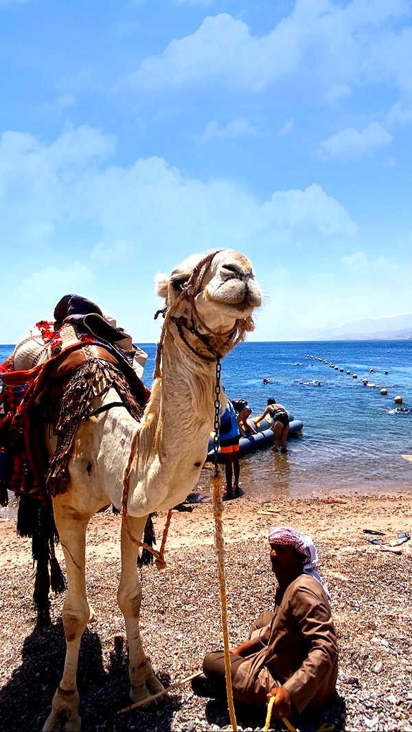 a.shaked_ a.shaked_ archive image