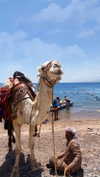 a.shaked_ Altpins Profile Picture