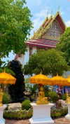 a.shaked_ Altpins Profile Picture