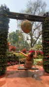 a.shaked_ Altpins Profile Picture