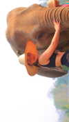 a.shaked_ Altpins Profile Picture