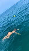 a.shaked_ Altpins Profile Picture
