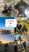 a.shaked_ Altpins Profile Picture