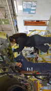 a.shaked_ Altpins Profile Picture