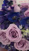 addisonraee Altpins Profile Picture