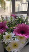 adel_oz2 Altpins Profile Picture