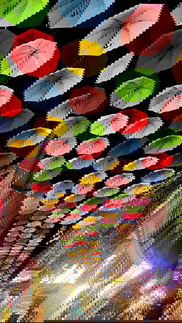 adellepisar adellepisar archive image