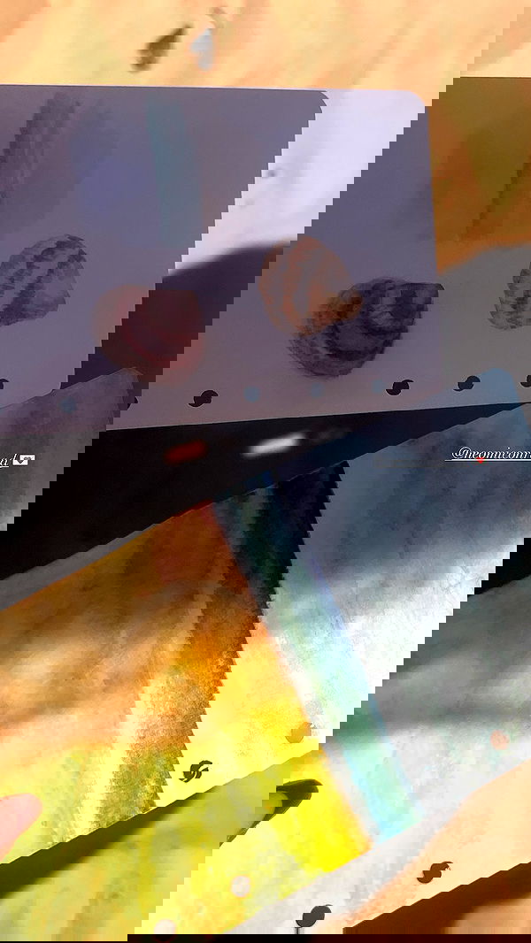 adellepisar adellepisar archive image