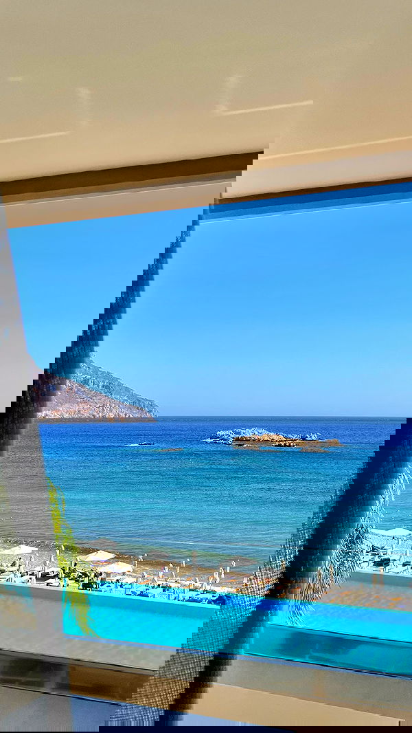 adellepisar adellepisar archive image