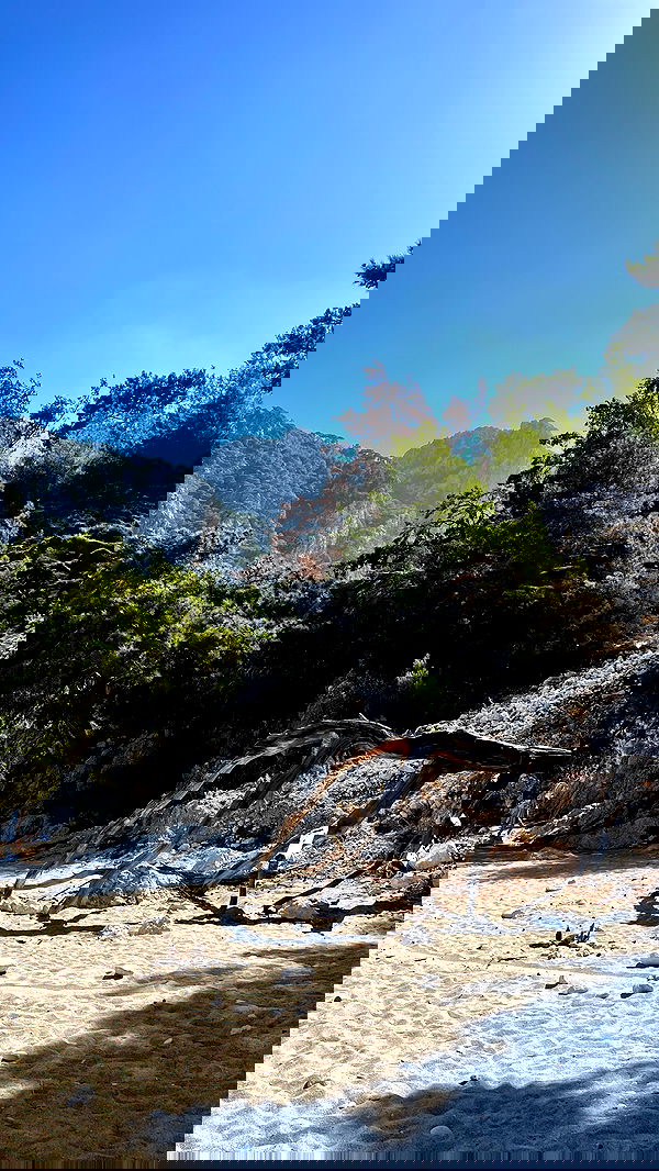 adellepisar adellepisar archive image