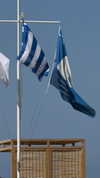 adidahan_2 Altpins Profile Picture