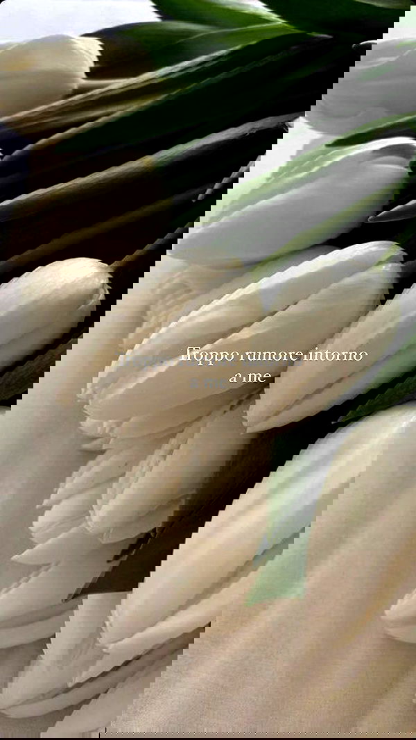 aekamee aekamee archive image