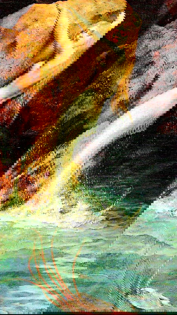 aekamee aekamee archive image