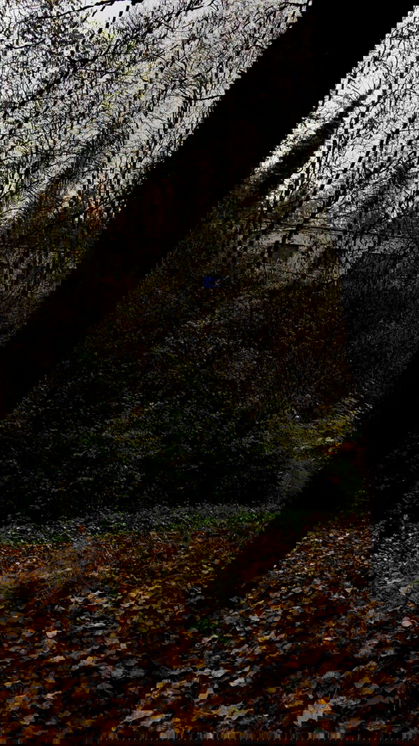 aekamee aekamee archive image