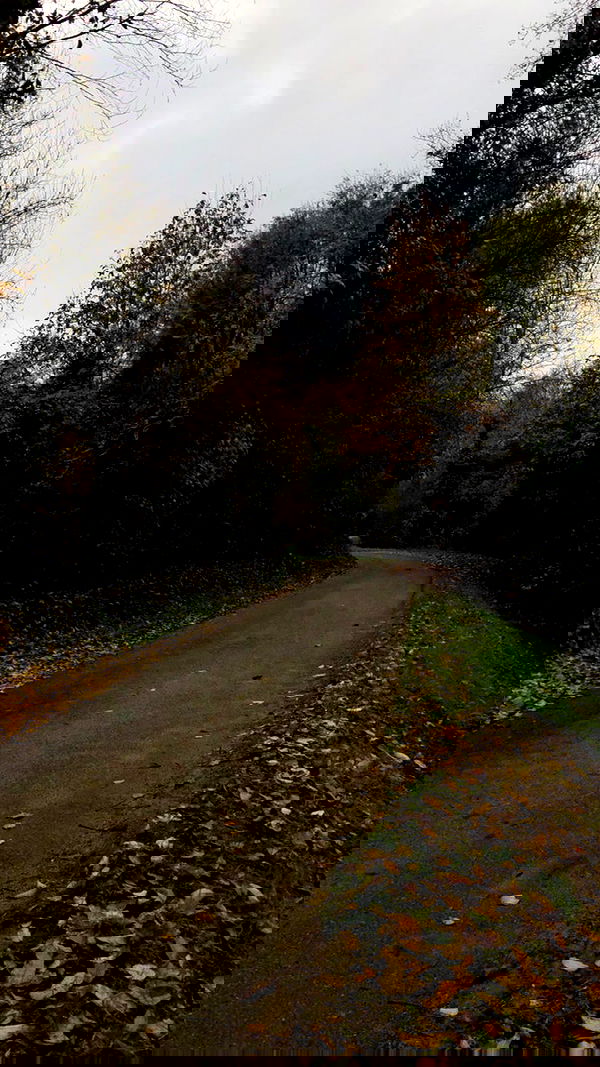 aekamee aekamee archive image