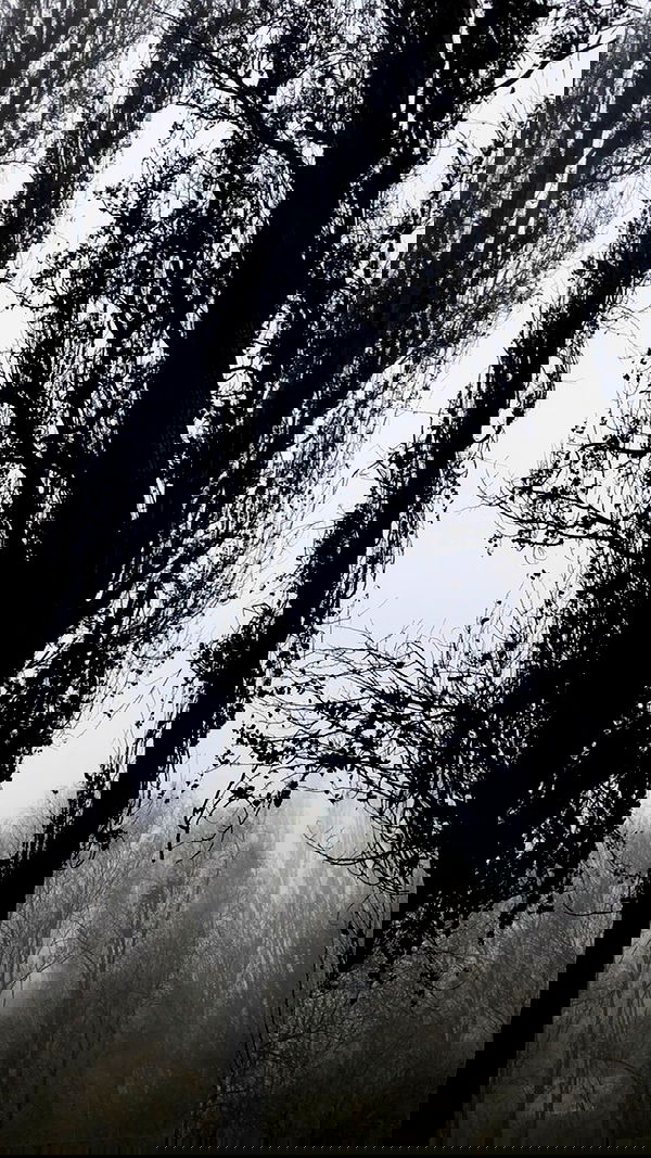 aekamee aekamee archive image