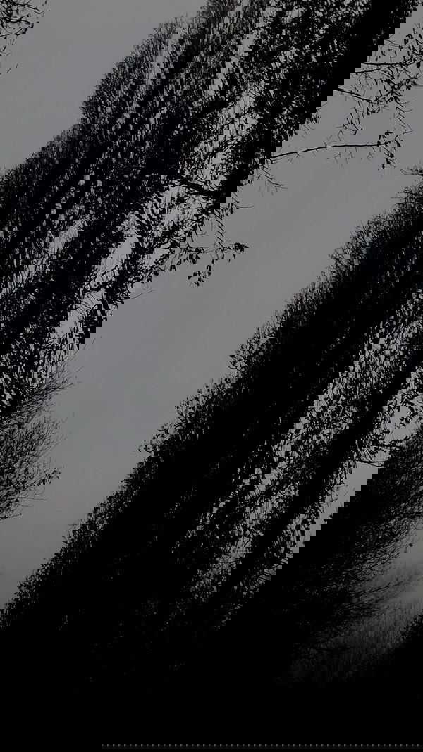 aekamee aekamee archive image