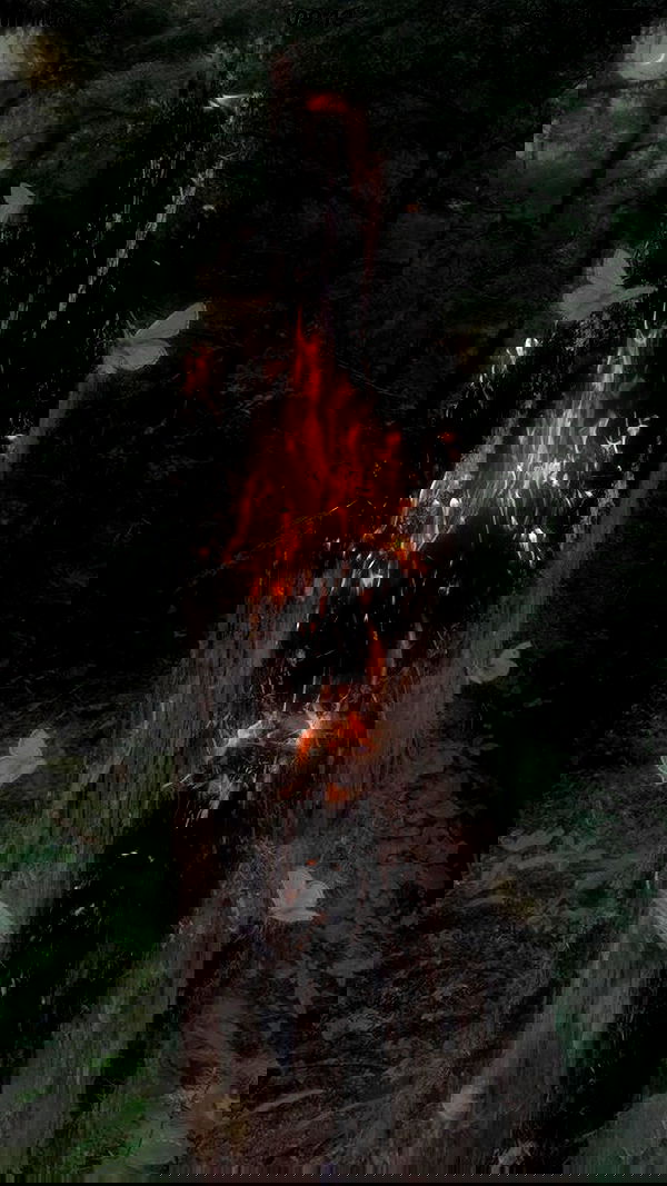 aekamee aekamee archive image