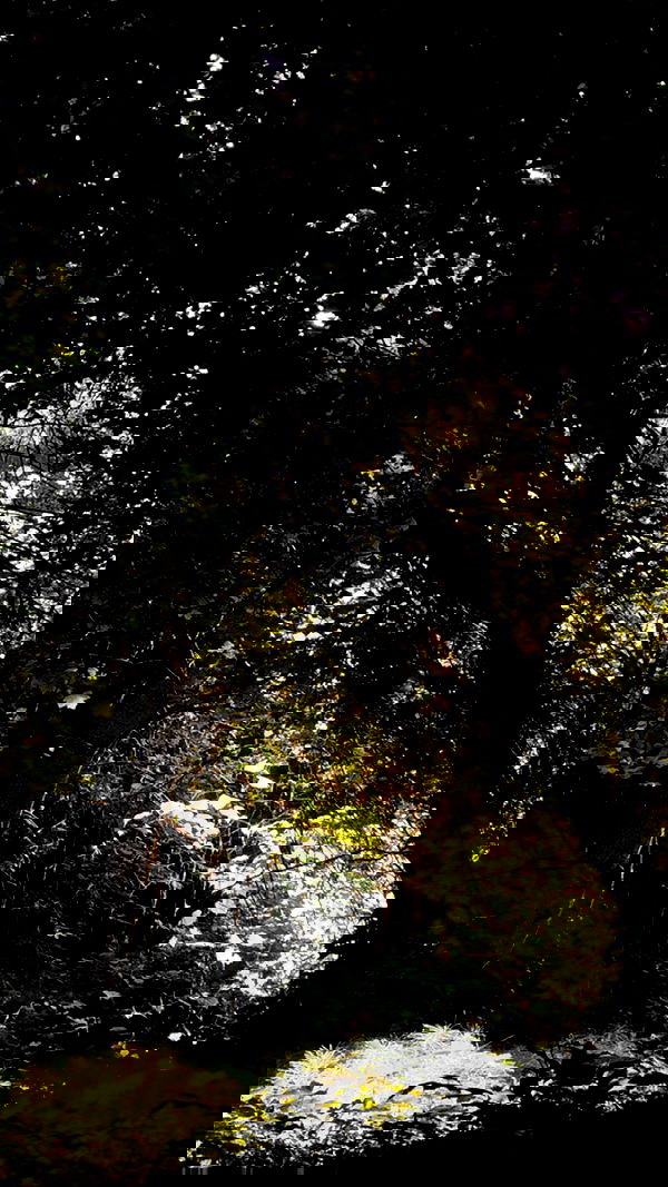 aekamee aekamee archive image