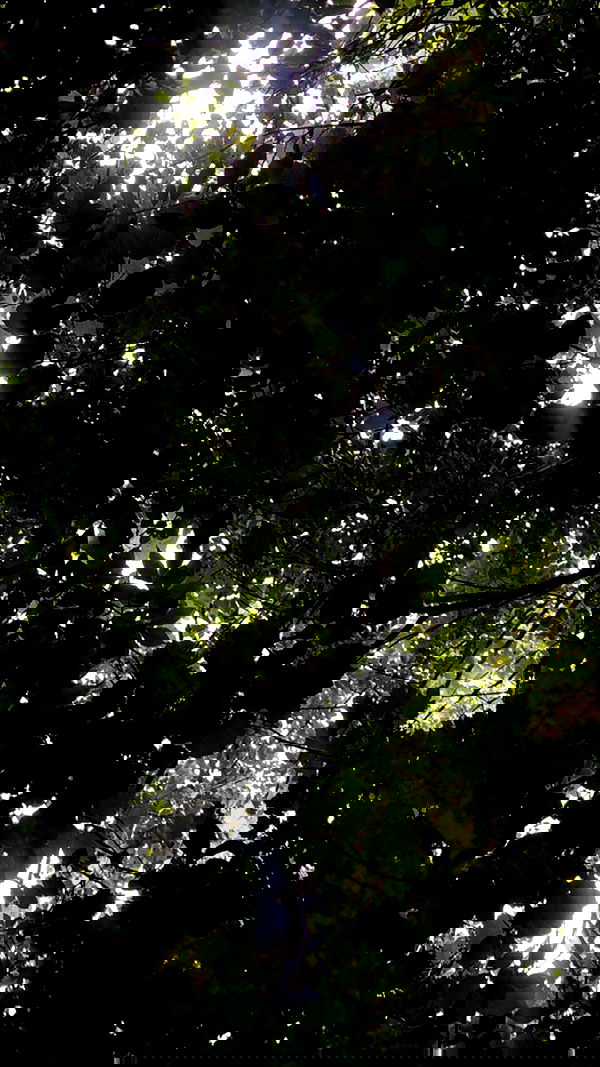 aekamee aekamee archive image