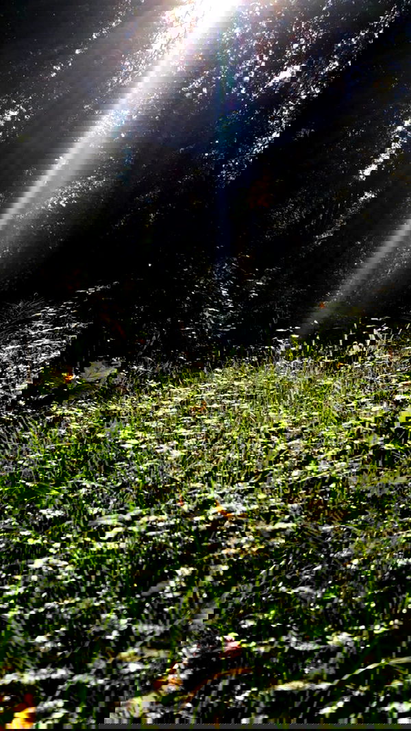 aekamee aekamee archive image