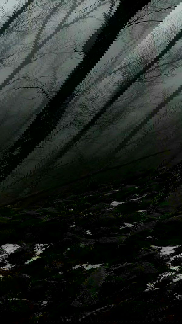 aekamee aekamee archive image