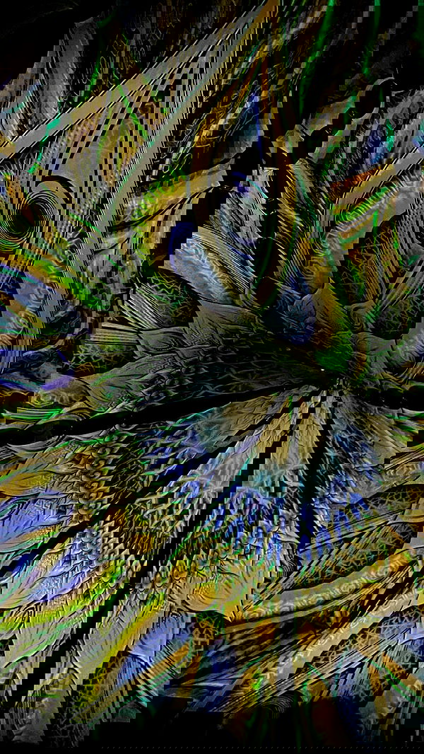 aekamee aekamee archive image