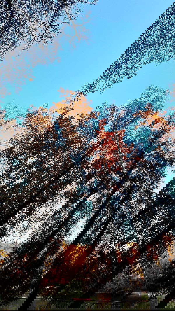 aekamee aekamee archive image