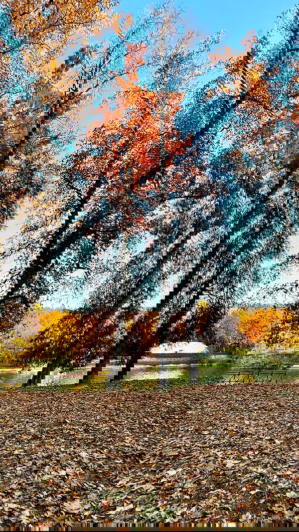 aekamee aekamee archive image