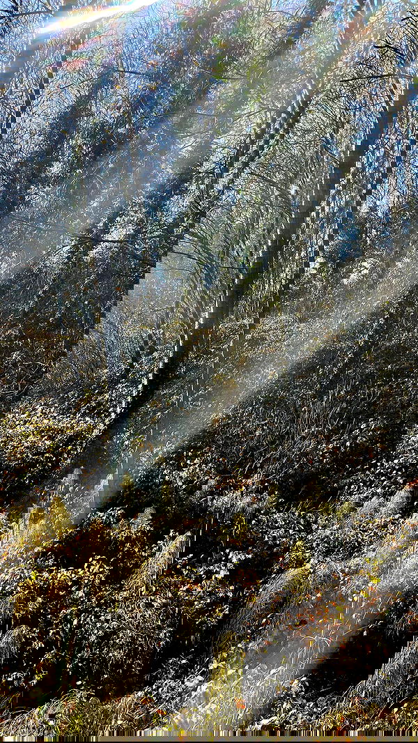 aekamee aekamee archive image