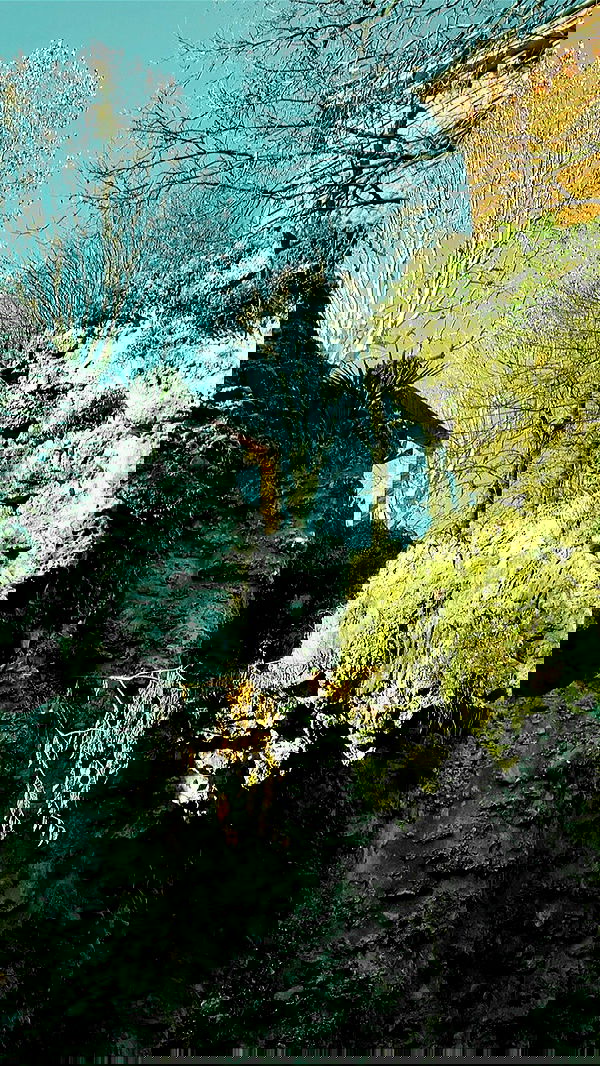 aekamee aekamee archive image