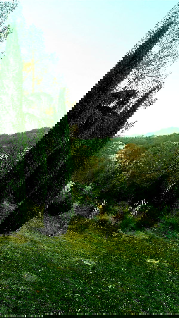 aekamee aekamee archive image