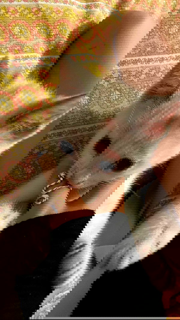 aekamee aekamee archive image