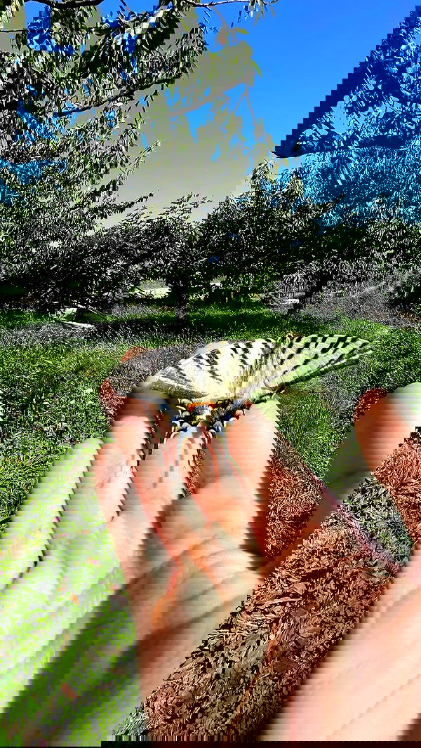 aekamee aekamee archive image