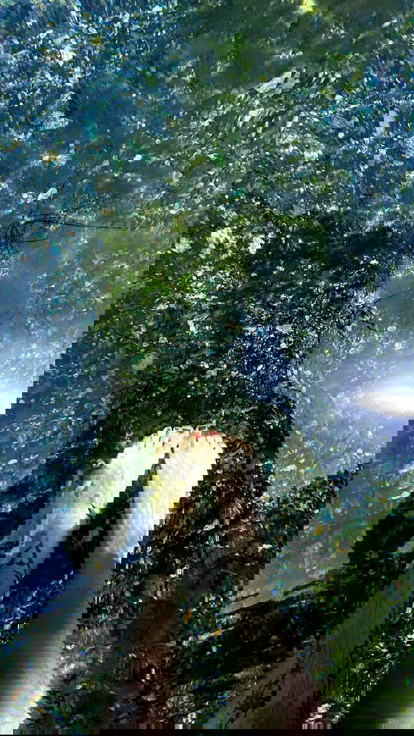 aekamee aekamee archive image