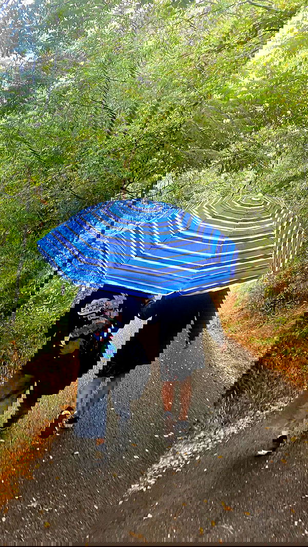 aekamee aekamee archive image