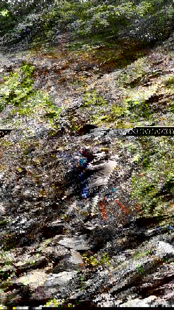 aekamee aekamee archive image