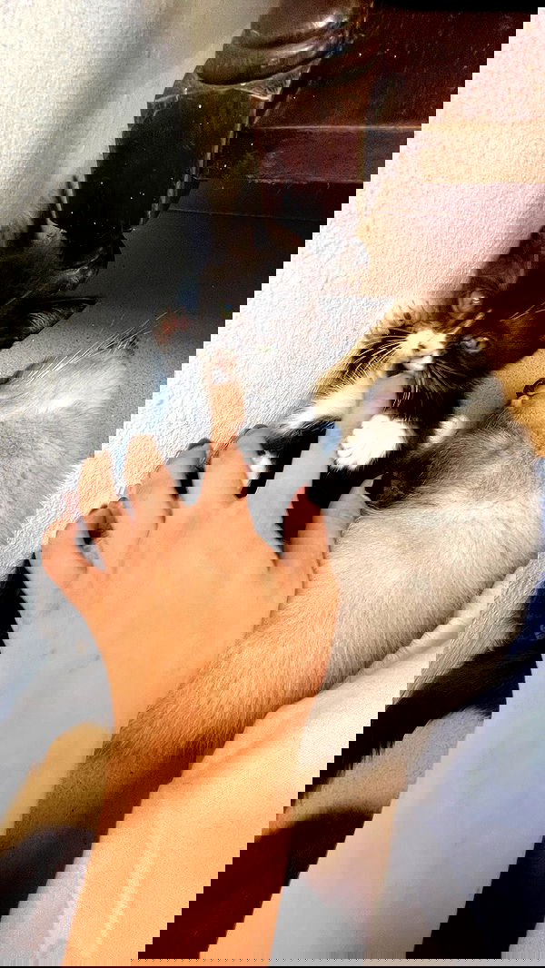 aekamee aekamee archive image