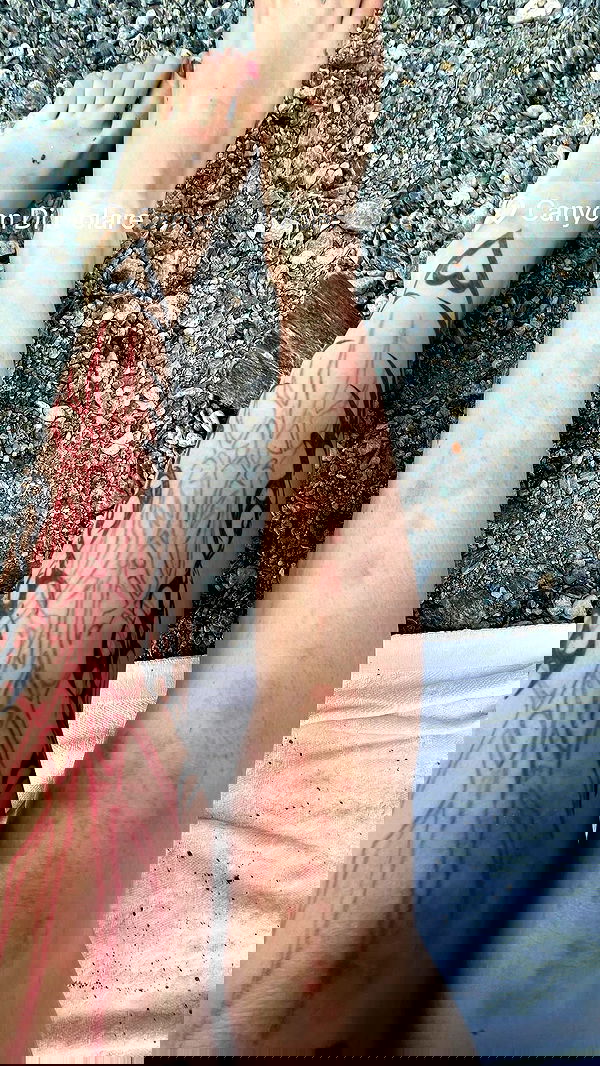 aekamee aekamee archive image