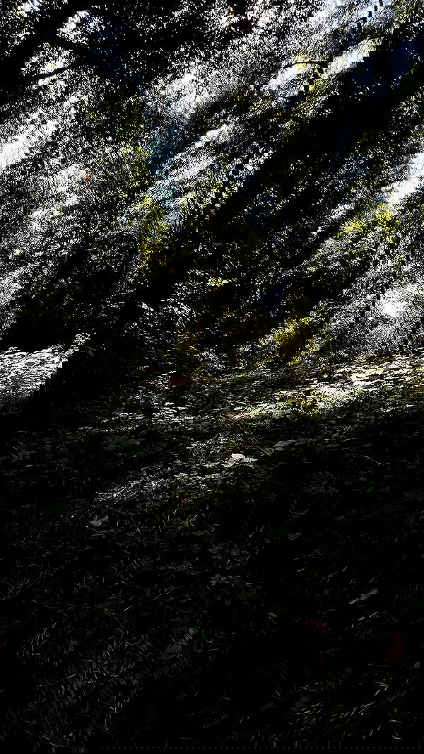 aekamee aekamee archive image