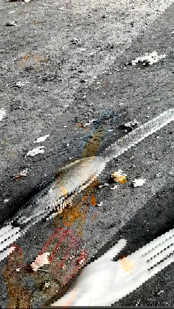 aekamee aekamee archive image