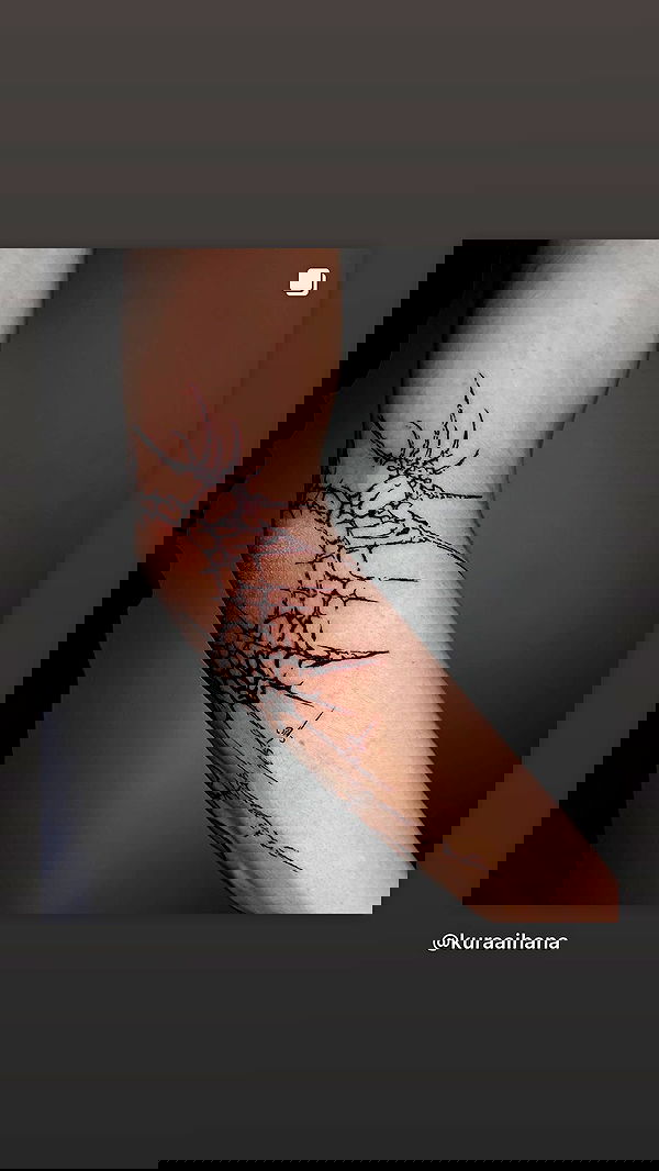 aekamee aekamee archive image