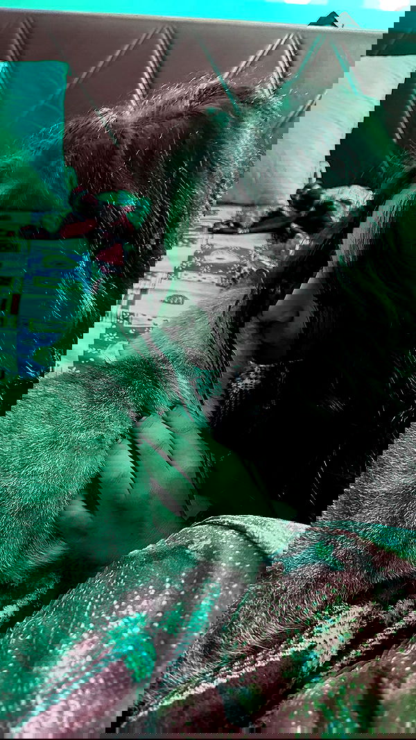 aekamee aekamee archive image