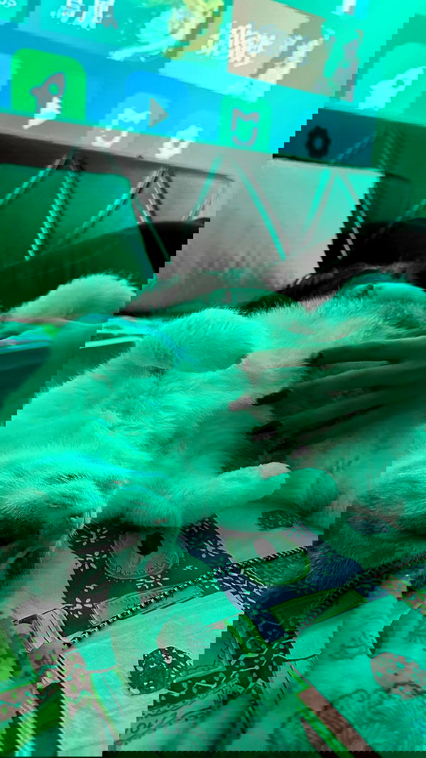 aekamee aekamee archive image