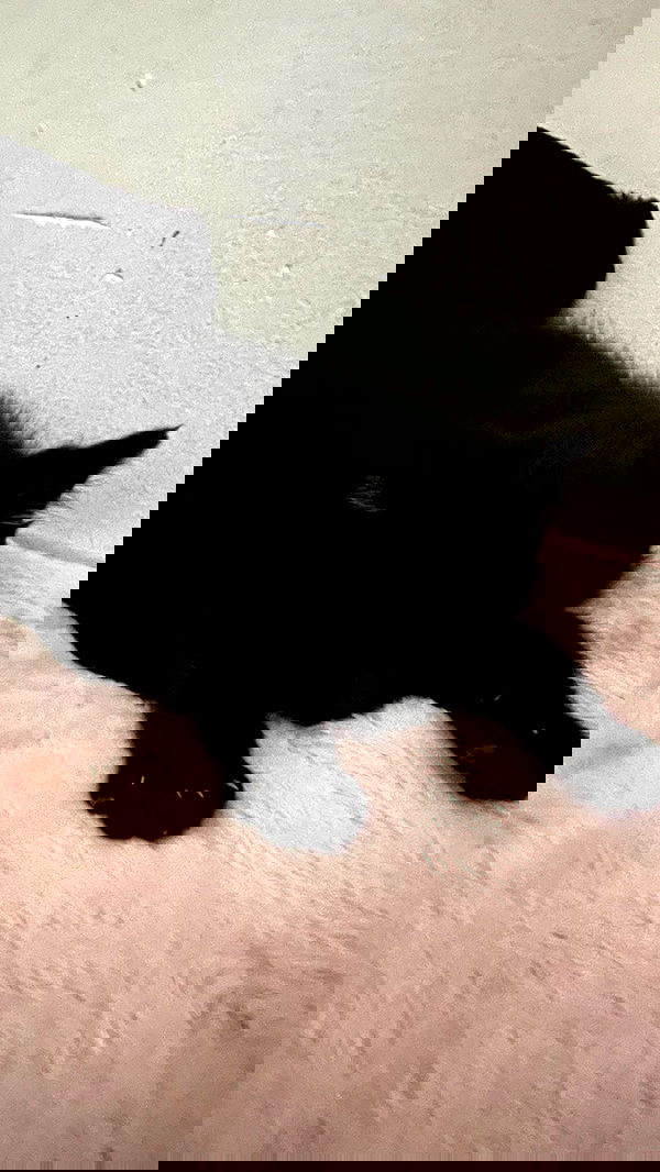 aekamee aekamee archive image